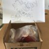 Fanale Post. Kawasaki KLR 250 600 - immagine 3