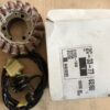210031342 Statore generatore Kawasaki Eliminatori 125
