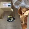 Statore alternatore Kawasaki ZX10 ‘04 ‘05 originale nuovo - immagine 3