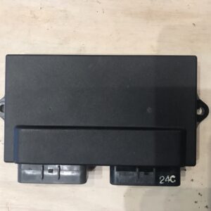 Centralina Aprilia RS 250 25 KW (Depo) usata